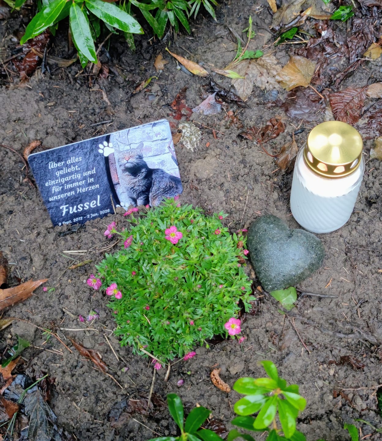 Customer photo review of Katzen Gedenktafel mit Foto & Spruch (UV- & Wetterfest)