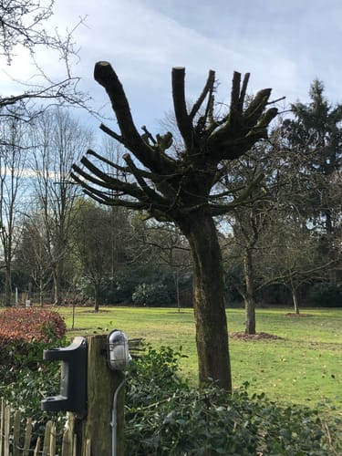 Customer photo review of 18V 2.0Ah Battery