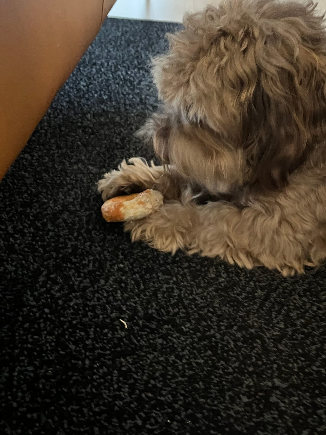 Customer photo review of Barkii - Kollagen Donuts m. Kylling