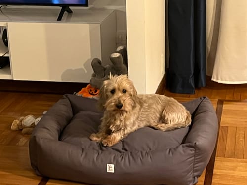 Customer photo review of Divanetto in Tessuto Dralon Grigio Elegance