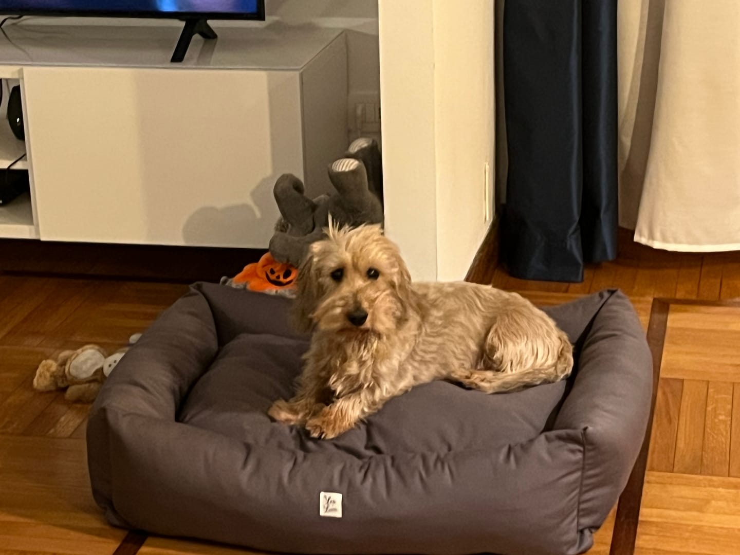 Customer photo review of Divanetto in Tessuto Dralon Grigio Elegance