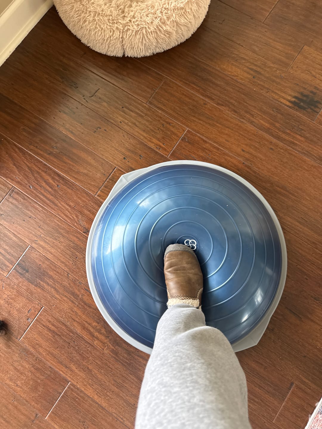 Customer photo review of PRO Balance Trainer