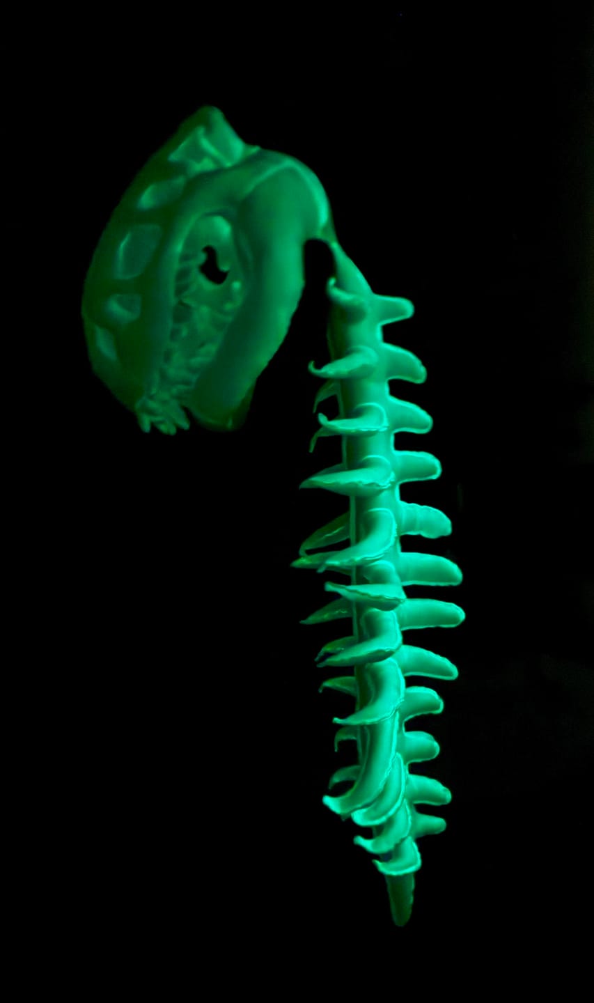 Customer photo review of The Godzilla Snug™
