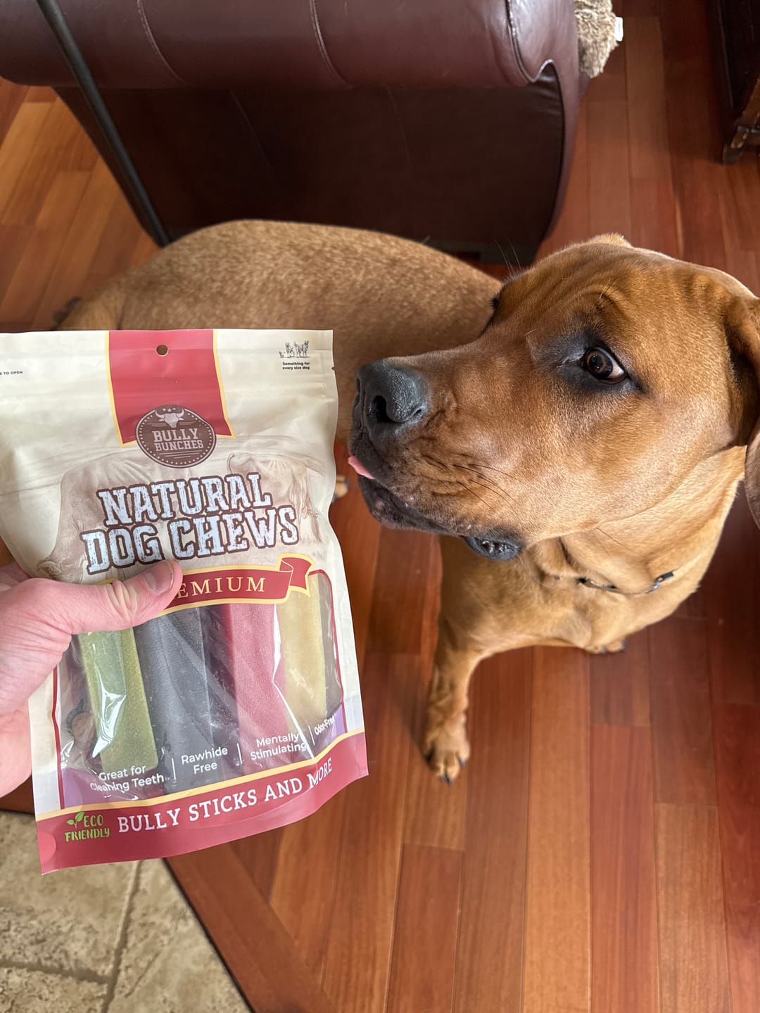 Customer photo review of Himalayan Yak Chew Flavor Pack