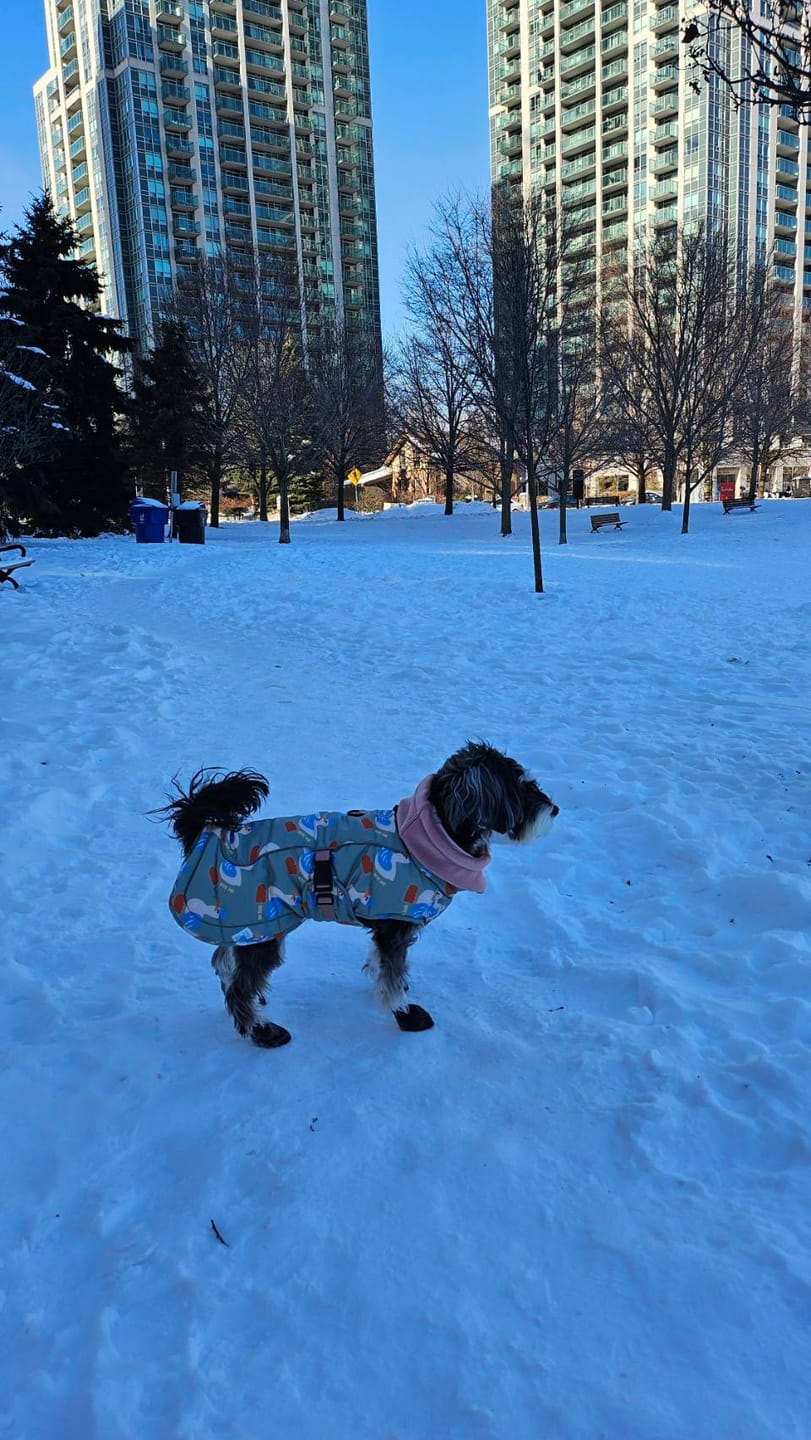 Customer photo review of Double Heat Padding Pattern (3 colors) Preorder
