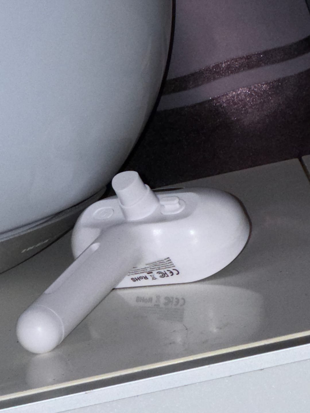 Customer photo review of Brosse vapeur - FurMist
