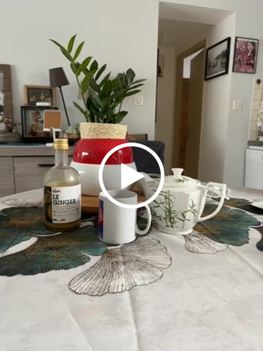 Customer video review of Le Ginger Gopy Classique BIO