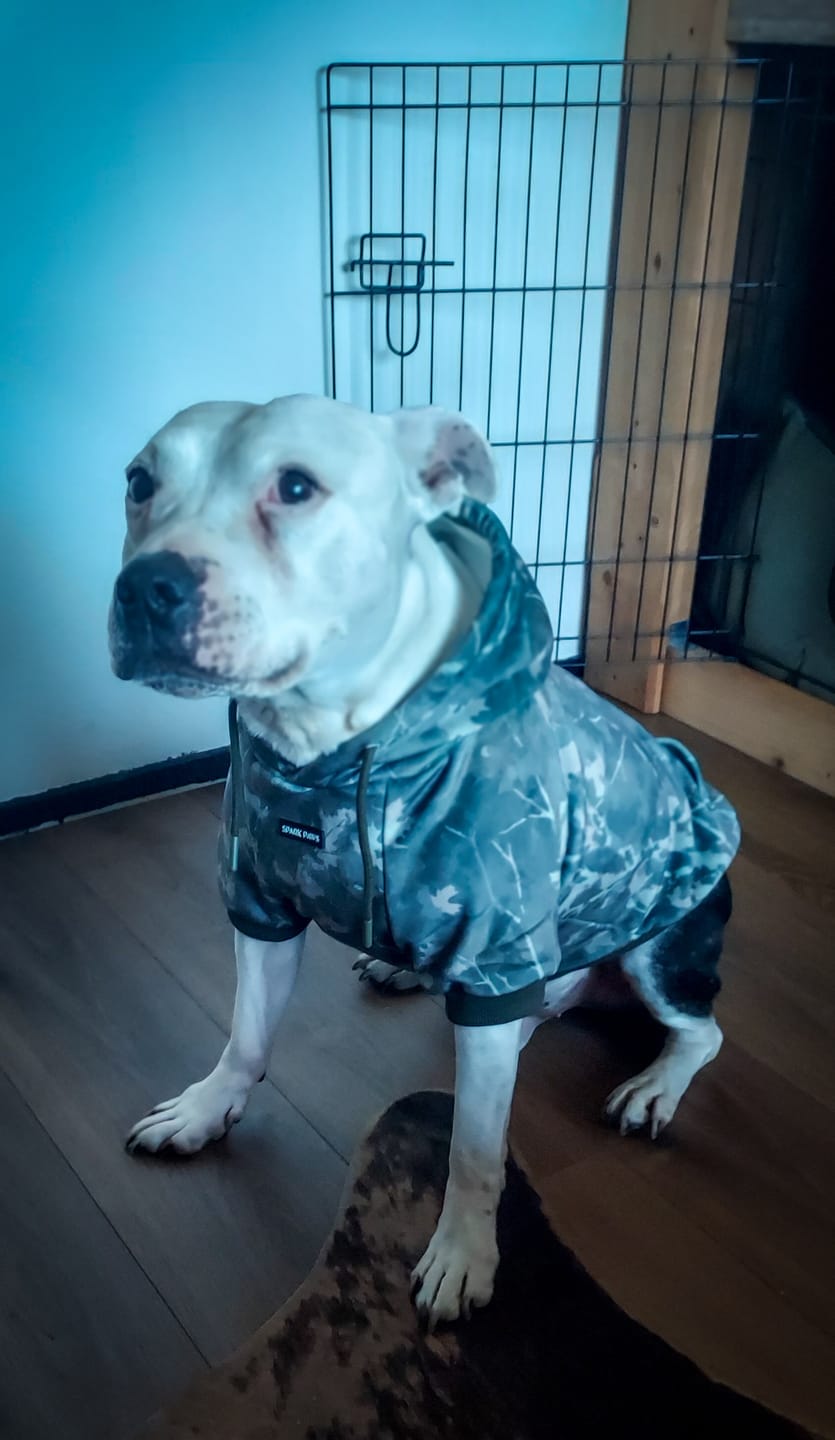 Customer photo review of Concrete Wood Dog Hoodie - Timber