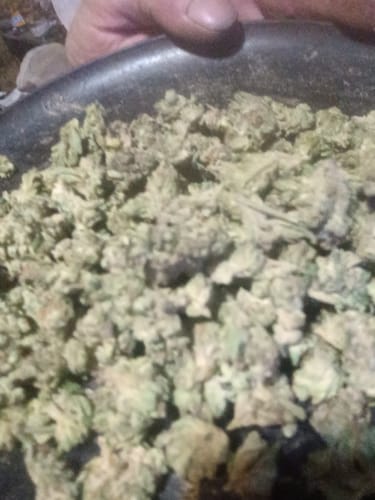 Customer photo review of Gorilla Glue Minis - Bulk Minis - Hybrid