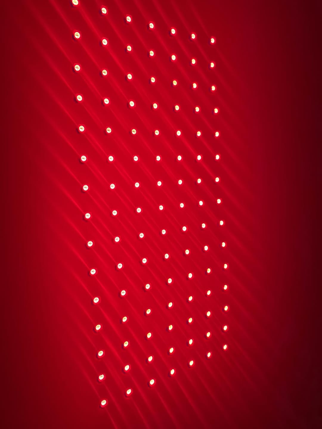 Customer photo review of Nicebeam Full Body Red Light Therapy Bag