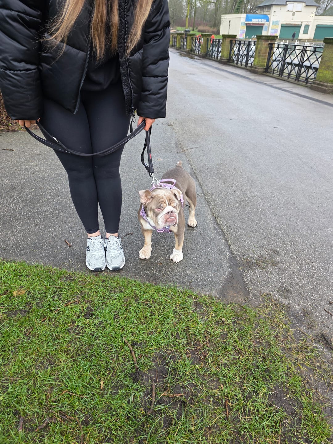 Customer photo review of Dog Walking Bag - Black with Mulberry Tweed Strap