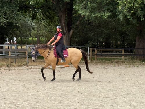 Customer photo review of LE Performance Dressage Saddle Pad with Shims