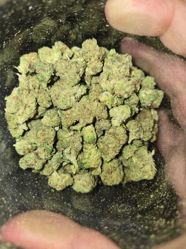 Customer photo review of THCa Greenhouse Smalls