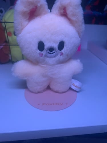 Customer photo review of SKZ dominATE:celebrATE Standing Plush