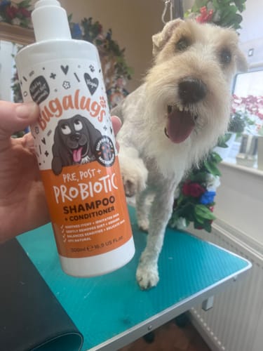 Customer photo review of Pre, Post + Probiotic Shampoo for Dogs
