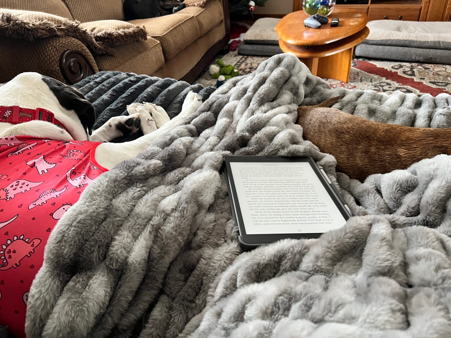 Customer photo review of Stormy Night