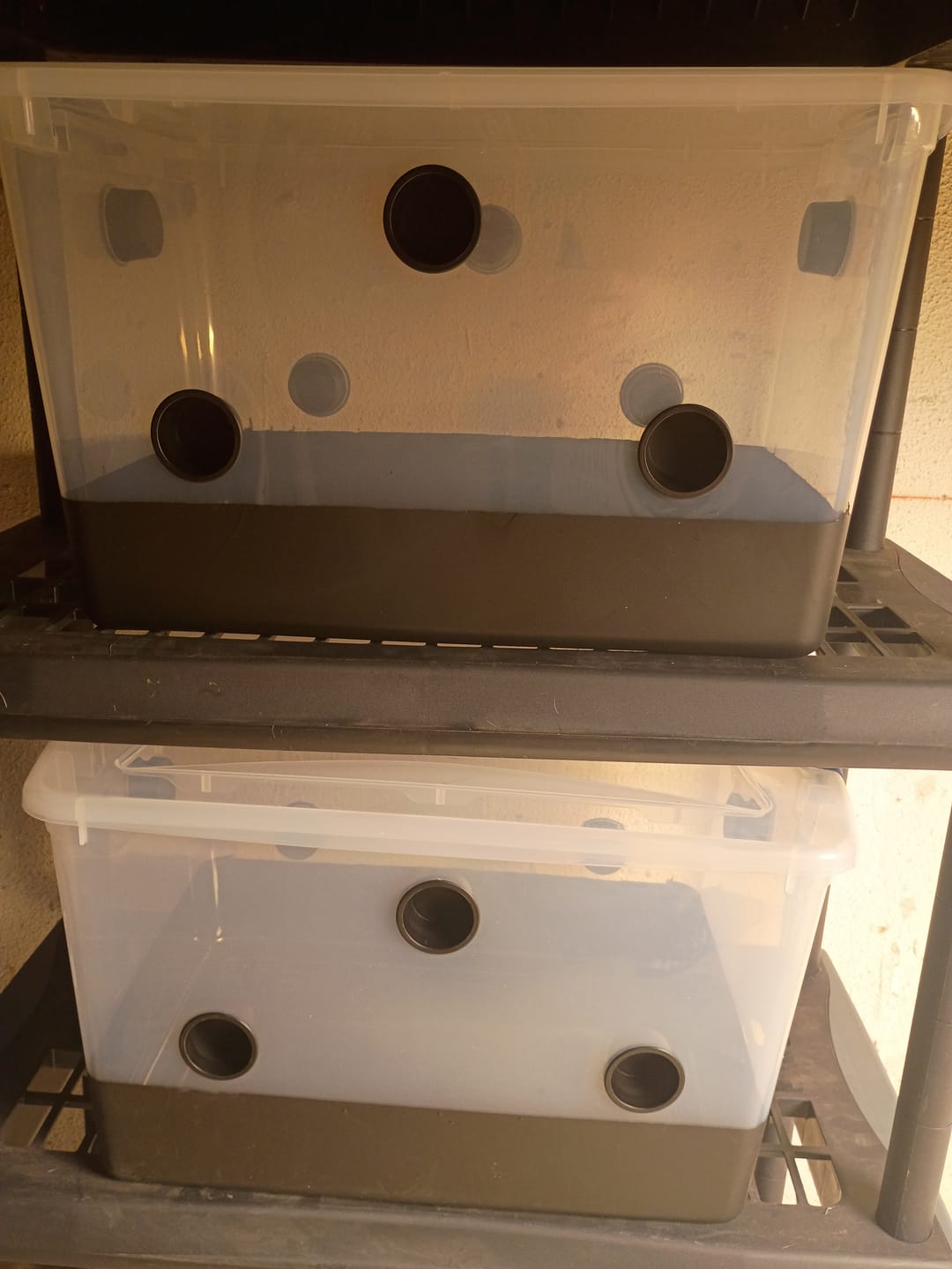 Customer photo review of 6 Pack - Monotub Hole Plugs