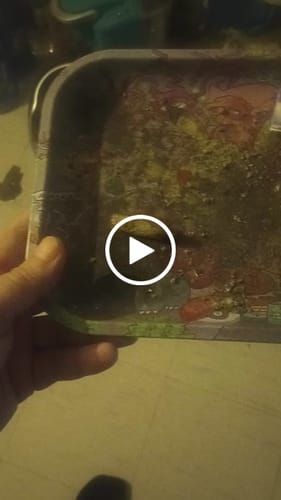 Customer video review of Exotic THCa Shake