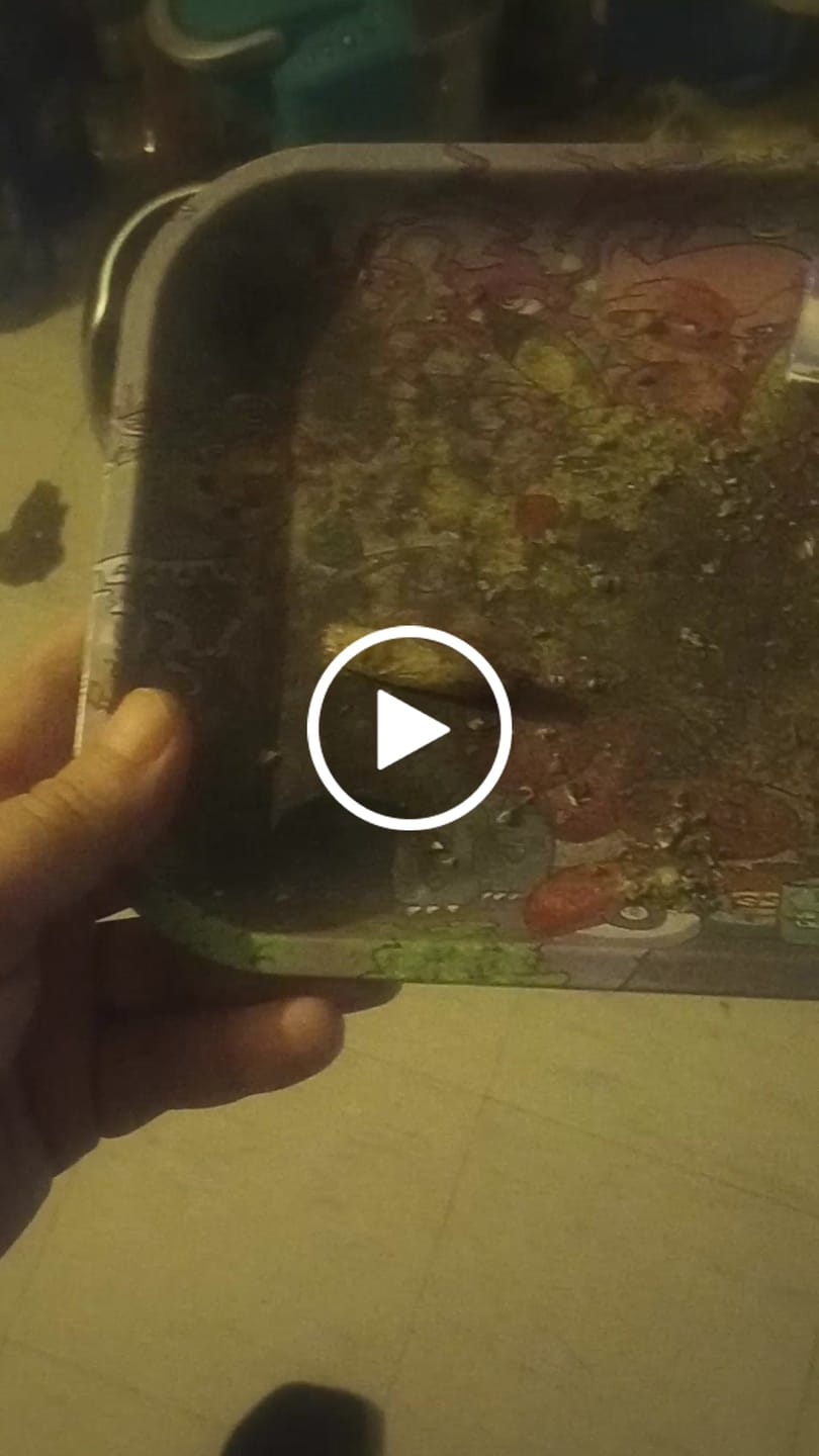 Customer video review of Exotic THCa Shake