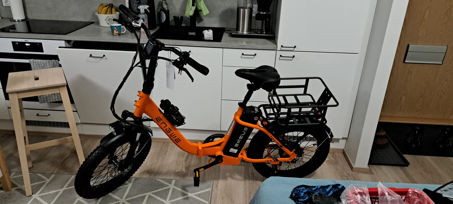 Customer photo review of Engwe L20 SE 250W 20" Foldable Electric Bike 561Wh Trekking Bike Step-through E-bike 36V 15.6Ah Battery