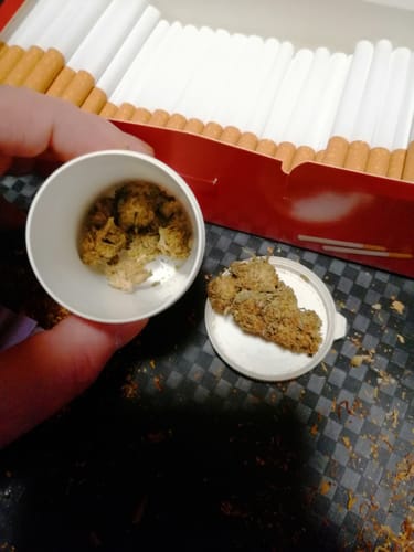 Customer photo review of 🧞Purple Kinky Kush – Power Level 5/5