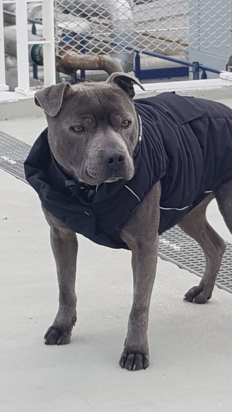Customer photo review of WarmShield Water-Resistant Jacket - Black