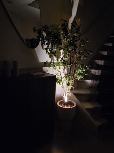 Customer photo review of Ficus Kunstplant 180cm