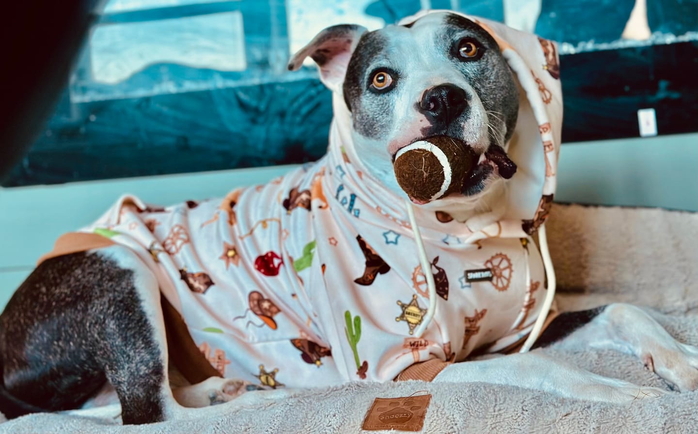 Customer photo review of Dog Hoodie Prints