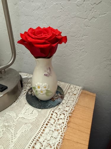 Customer photo review of Belleek Classic Daisy Mini Vase