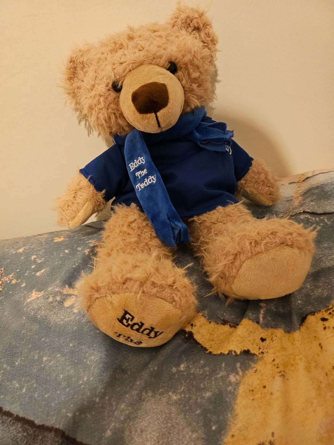 Customer photo review of Eddy The Teddy Bear