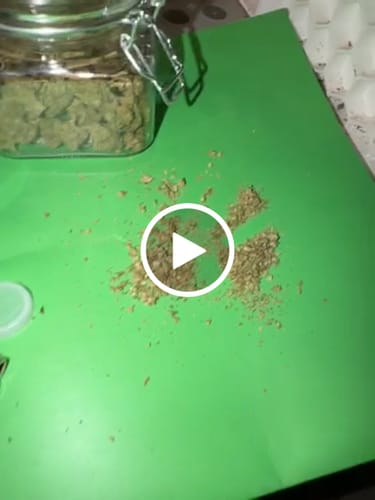 Customer video review of Horchata Gas - Bulk - Hybrid