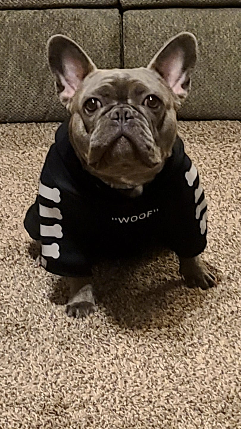 Customer photo review of Dog Hoodie Prints