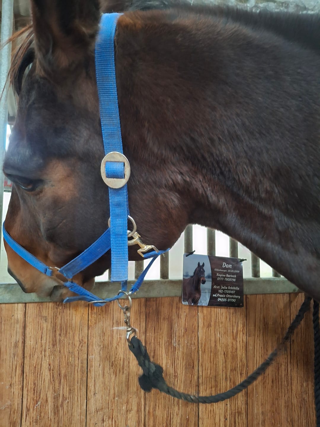 Customer photo review of Pferde Boxenschild mit Foto & Wunschtext (UV- und wetterfest)