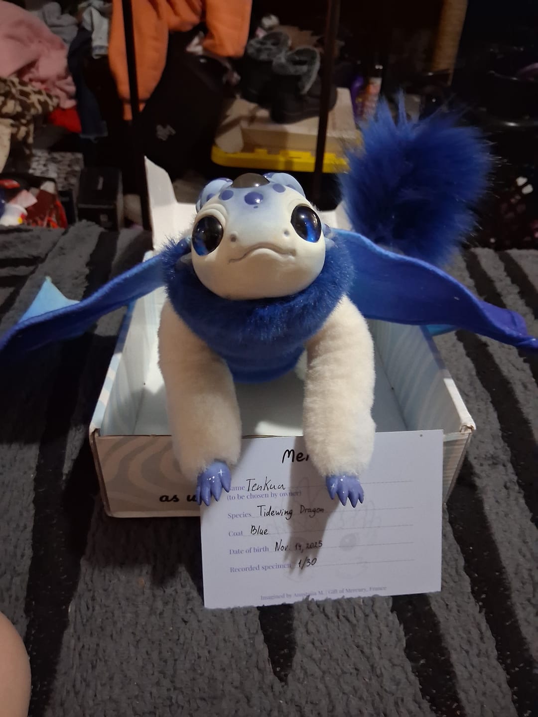 Customer photo review of Tidewing Dragon — Blue