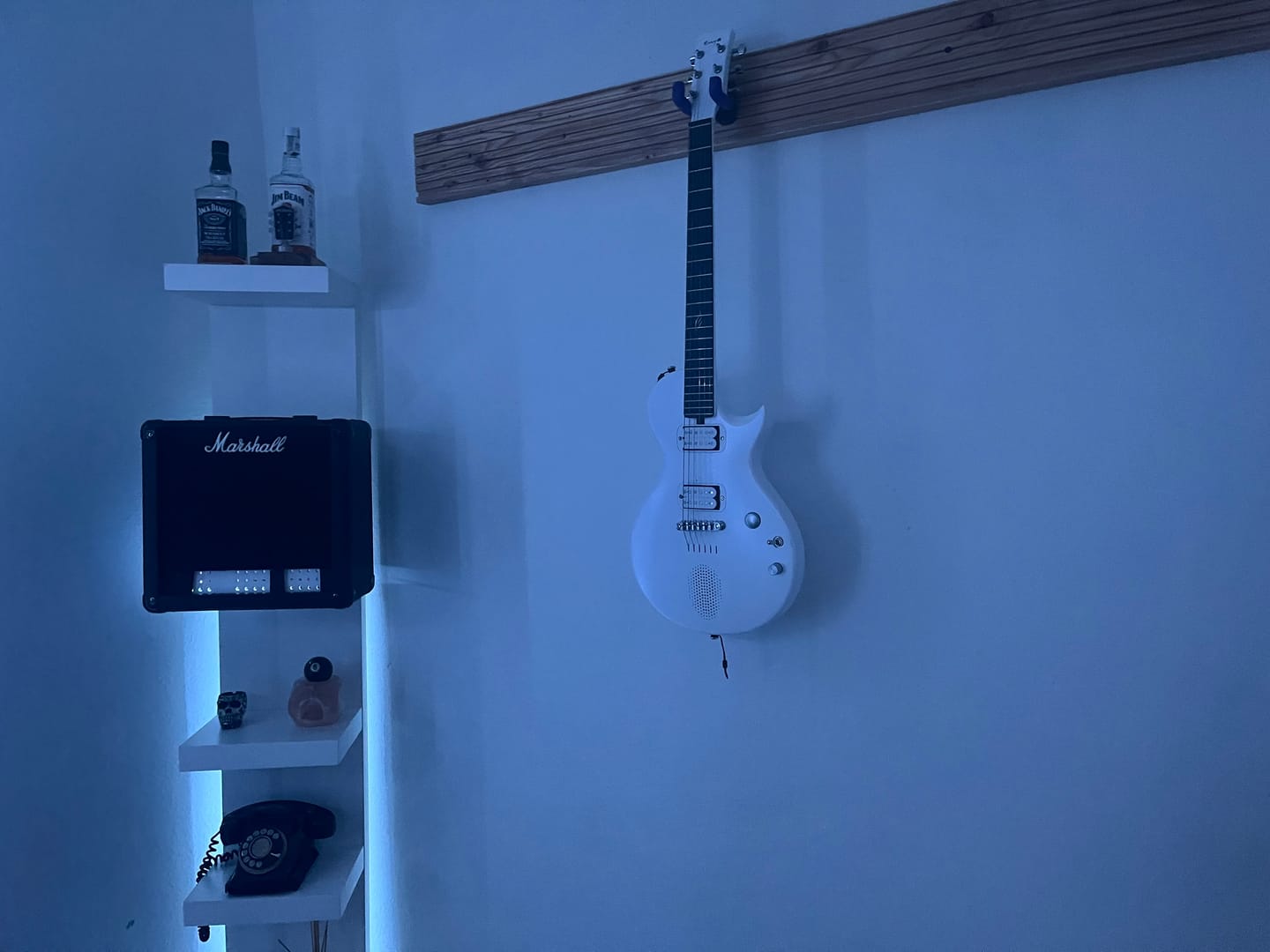 Customer photo review of Magnetic Quick-Release Strap