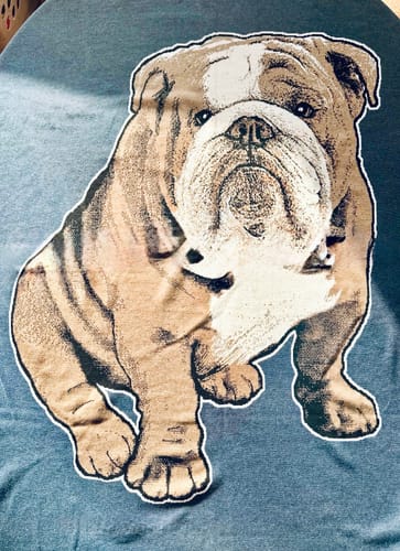 Customer photo review of Plain Dog - Custom Knitted Blanket