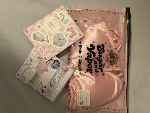 Customer's Adelia Floral Coquette Pink Silky Bikini Set shown inside its branded bag with included stickers.