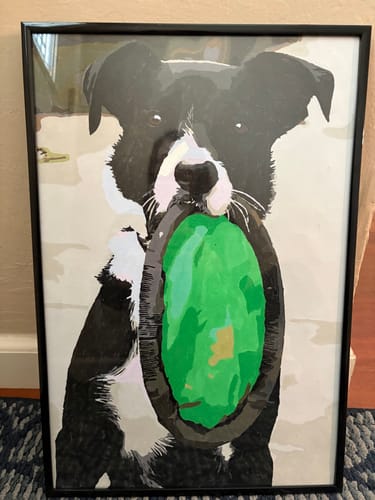Customer's framed Paint Your Pet by Numbers portrait of a black and white dog holding a green toy.