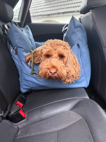 Customer photo review of The Dog Dock