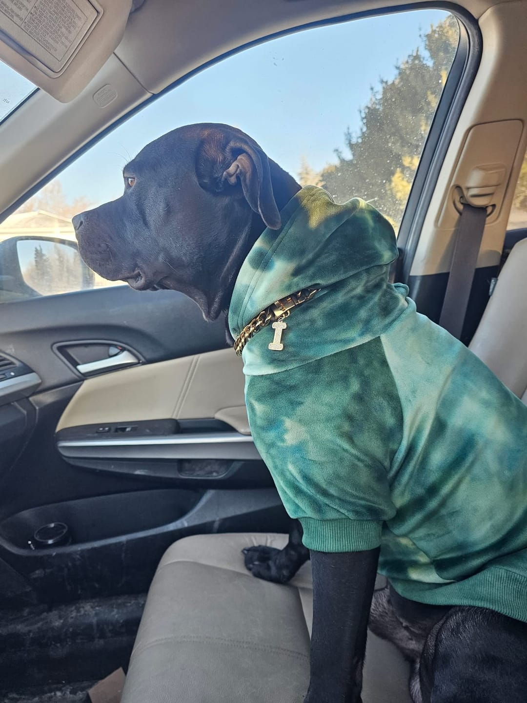Customer photo review of Initial Letter Jewelry Dog Tag(A-Z)