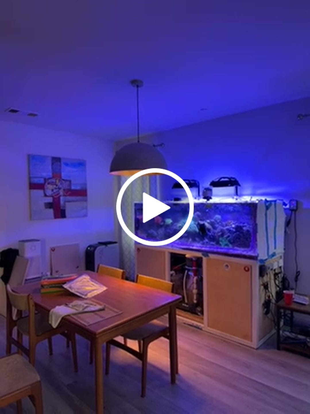 Customer video review of Oversized Metal Dome Pendant Light