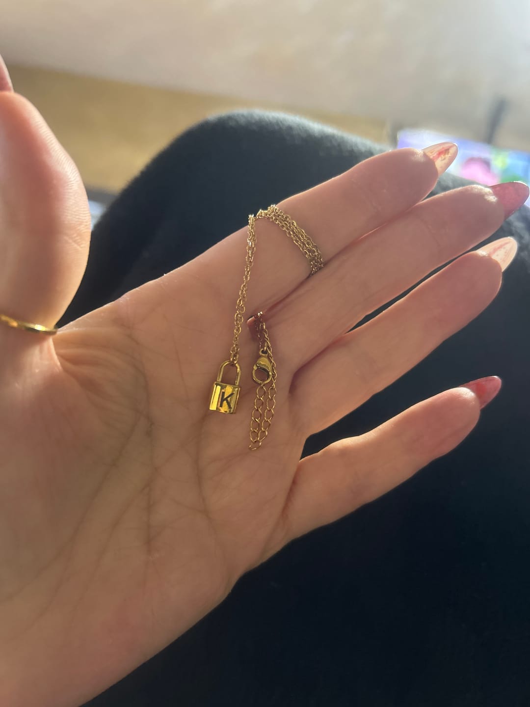 Customer photo review of Ellie Initial Love Lock Necklace (Bundle)