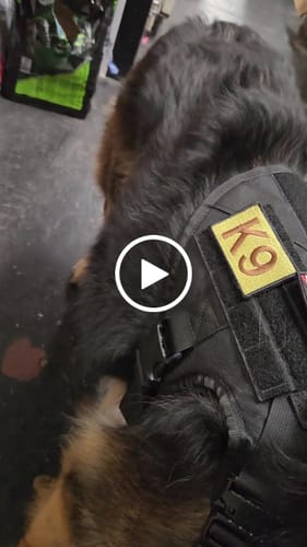 Customer video review of 2MBH Harness Exchanges