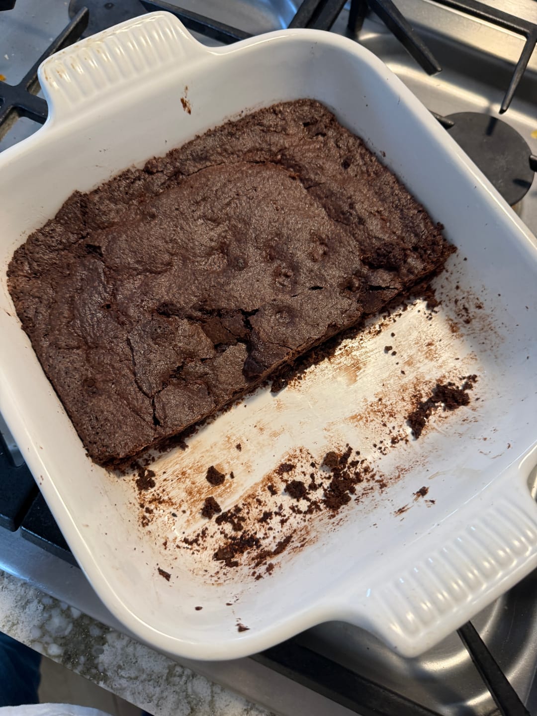 Customer photo review of Live 118 Year Old Valrhona CHOCOLATE Sourdough Starter Includes Maintenance PDF & Chocolate Noir Loaf Recipe