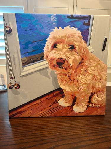 Customer's completed Paint Your Pet by Numbers canvas showing a portrait of their fluffy, apricot-colored dog.