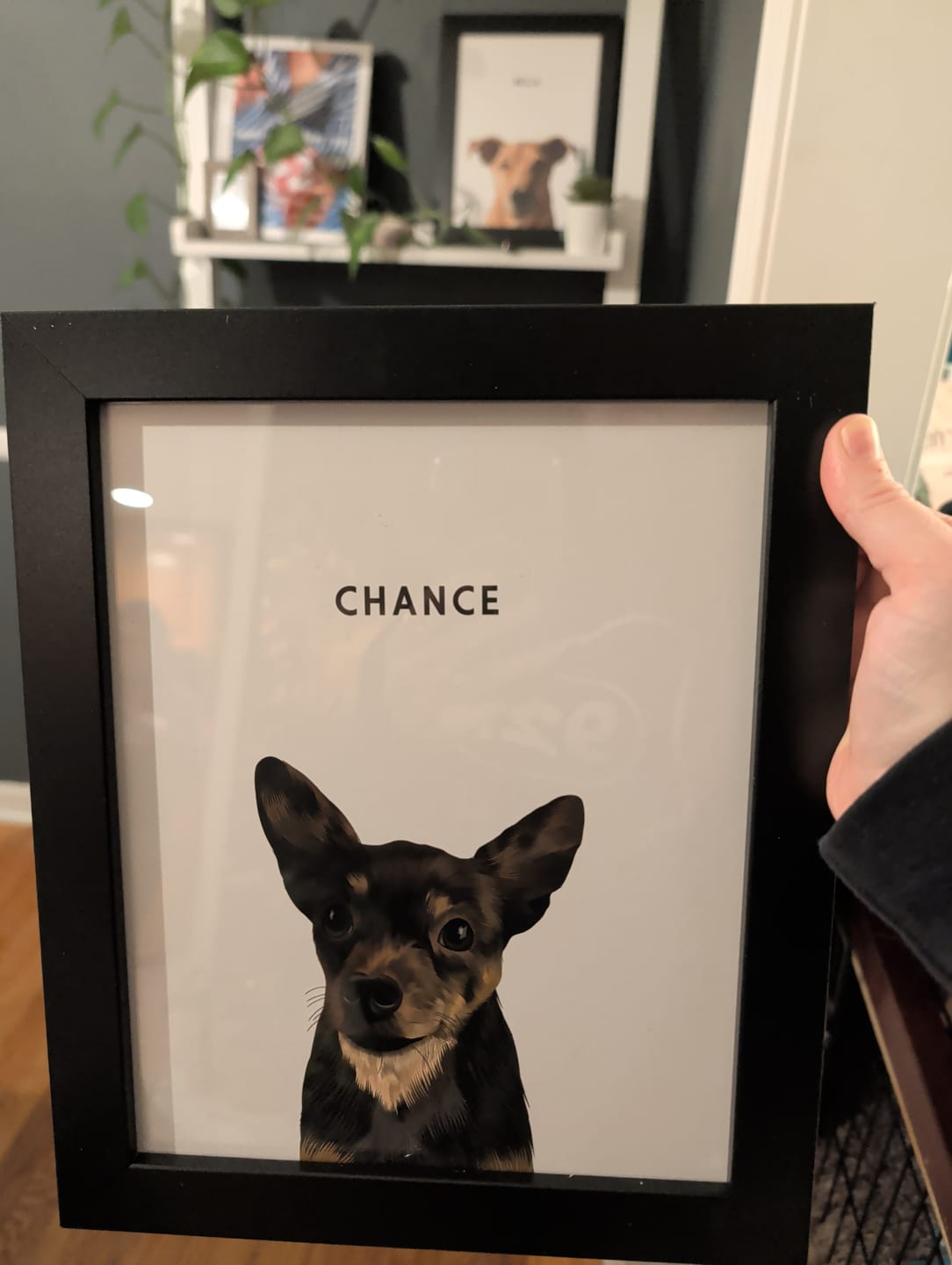 Customer photo review of Checkout+