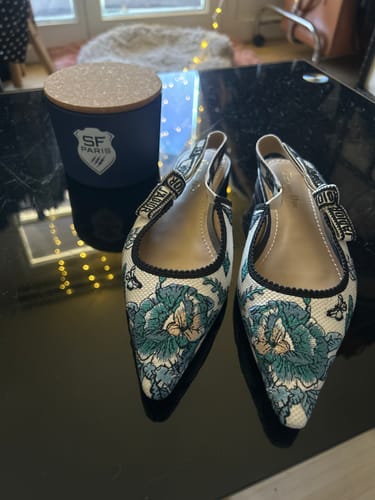 Customer photo review of JAdior Slingback Flat Pastel Midnight Blue Multicolor Embroidered Cotton with Toile de Jouy Mexico Motif