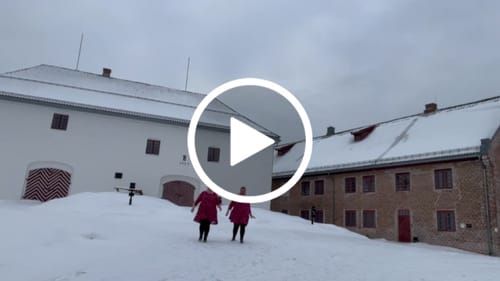 Customer video review of A-linjeklänning Venus by Rino