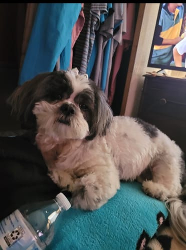 Customer photo review of PEACHES N' KREAM