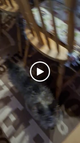 Customer video review of Fresh Smile